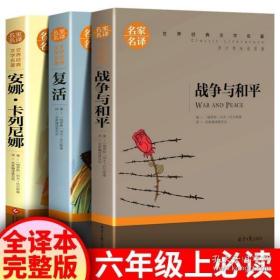 复活 中小学生课外阅读书籍世界经典文学名著青少年儿童文学读物故事书名家名译原汁原味读原著