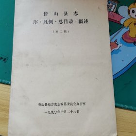 鲁山县志（4本合售）1990年老版本