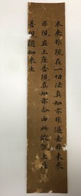 唐人写经 《大乘无量寿经指归》1纸