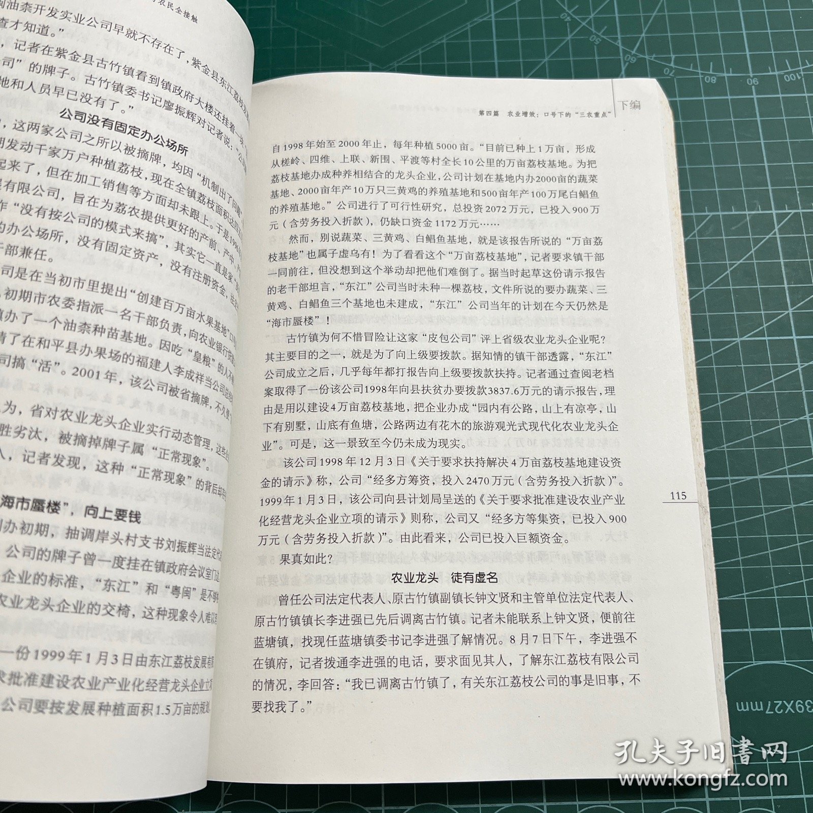 南中国“三农”问题调查:《南方农村报》记者与农民全接触