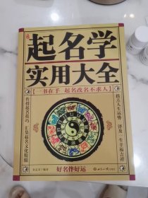 起名学实用大全 一书在手 起名不求人 金志文 起名宝典