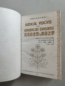 激进的理想与美国之梦：大萧条岁月中的文化和社会思想（精装）
