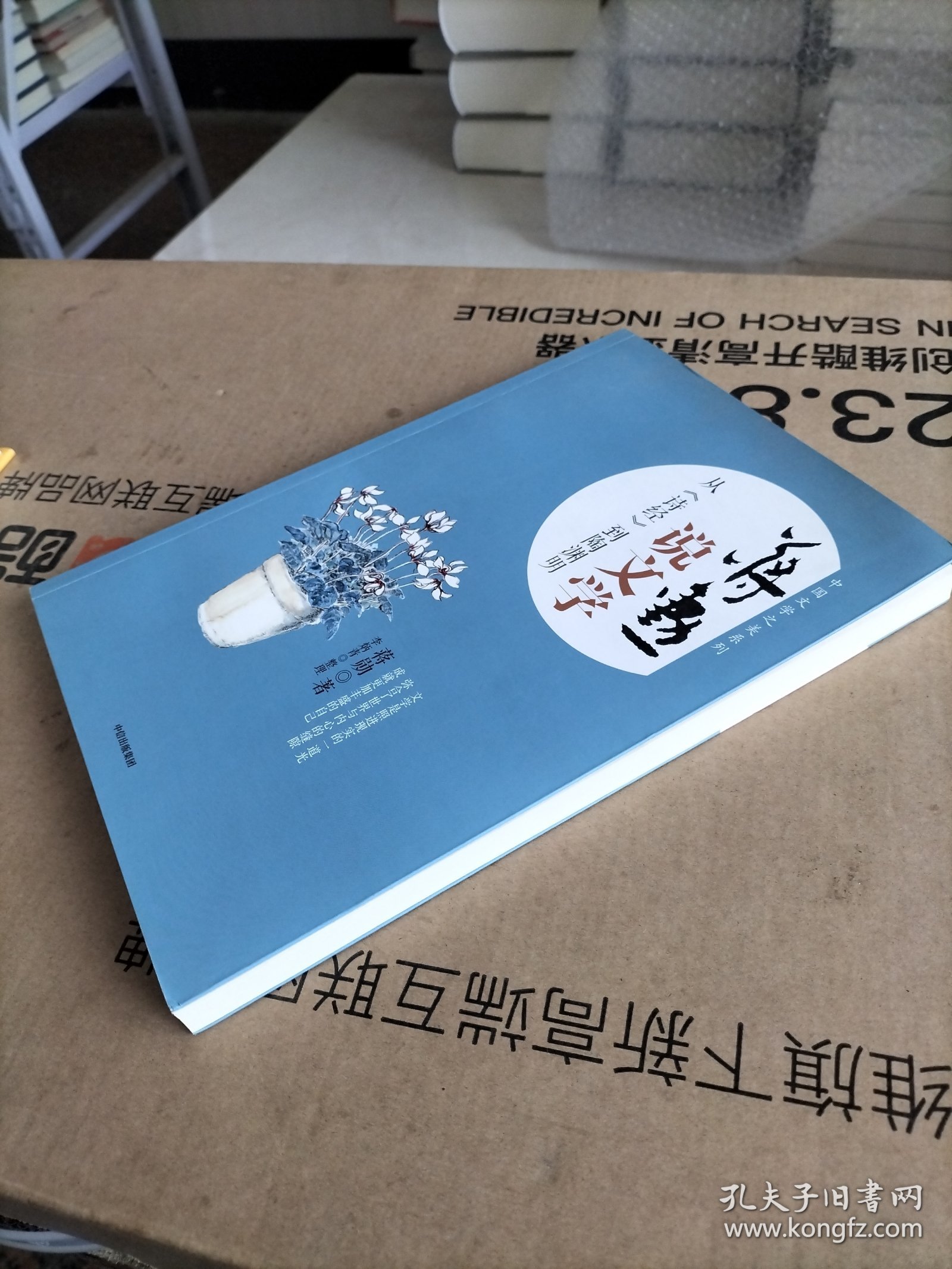 蒋勋说文学：从《诗经》到陶渊明