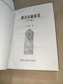 维吾尔族历史 中编