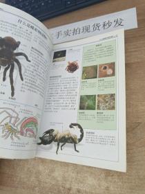 昆虫：全世界550多种昆虫、蜘蛛和陆生节肢动物的彩色图鉴