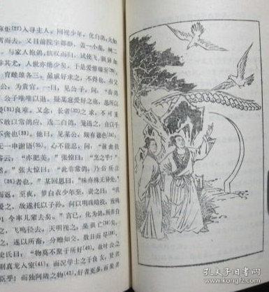 小图书馆丛书《聊斋志异选读》