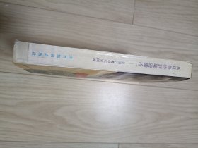 从贝鲁特到耶路撒冷 美国记者中东见闻录 包邮挂刷