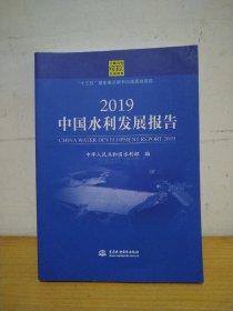 2019中国水利发展报告