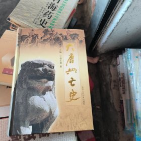 大唐兴亡史