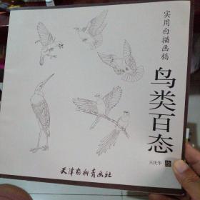 实用白描画稿：鸟类百态