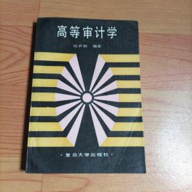 高等審計(jì)學(xué)