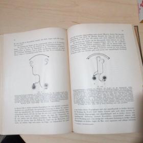 DIE ROLLE DER EINZELNEN LABYRINTHREZEPTOREN BEI DER ORIENTATION VON AUGEN UND KOPF IM RAUME