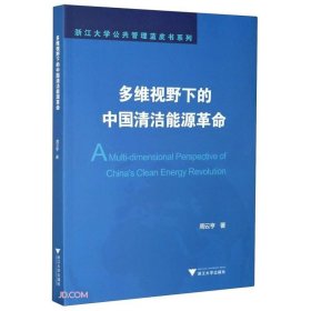 多维视野下的中国清洁能源革命