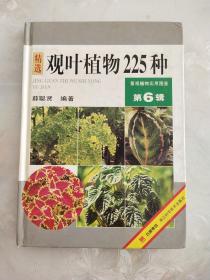 观叶植物225种