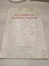 高举毛泽东思想伟大红旗将无产阶级*****进行到底（人民日报社论选辑）