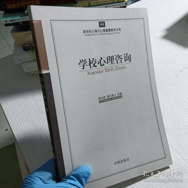 新世纪心理与心理健康教育文库（44）：学校心理咨询