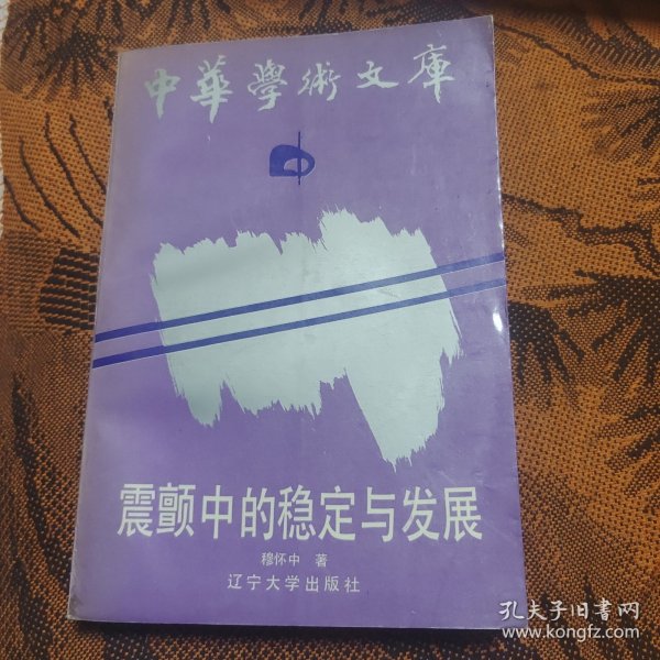 震颤中的稳定与发展 中华学术文库