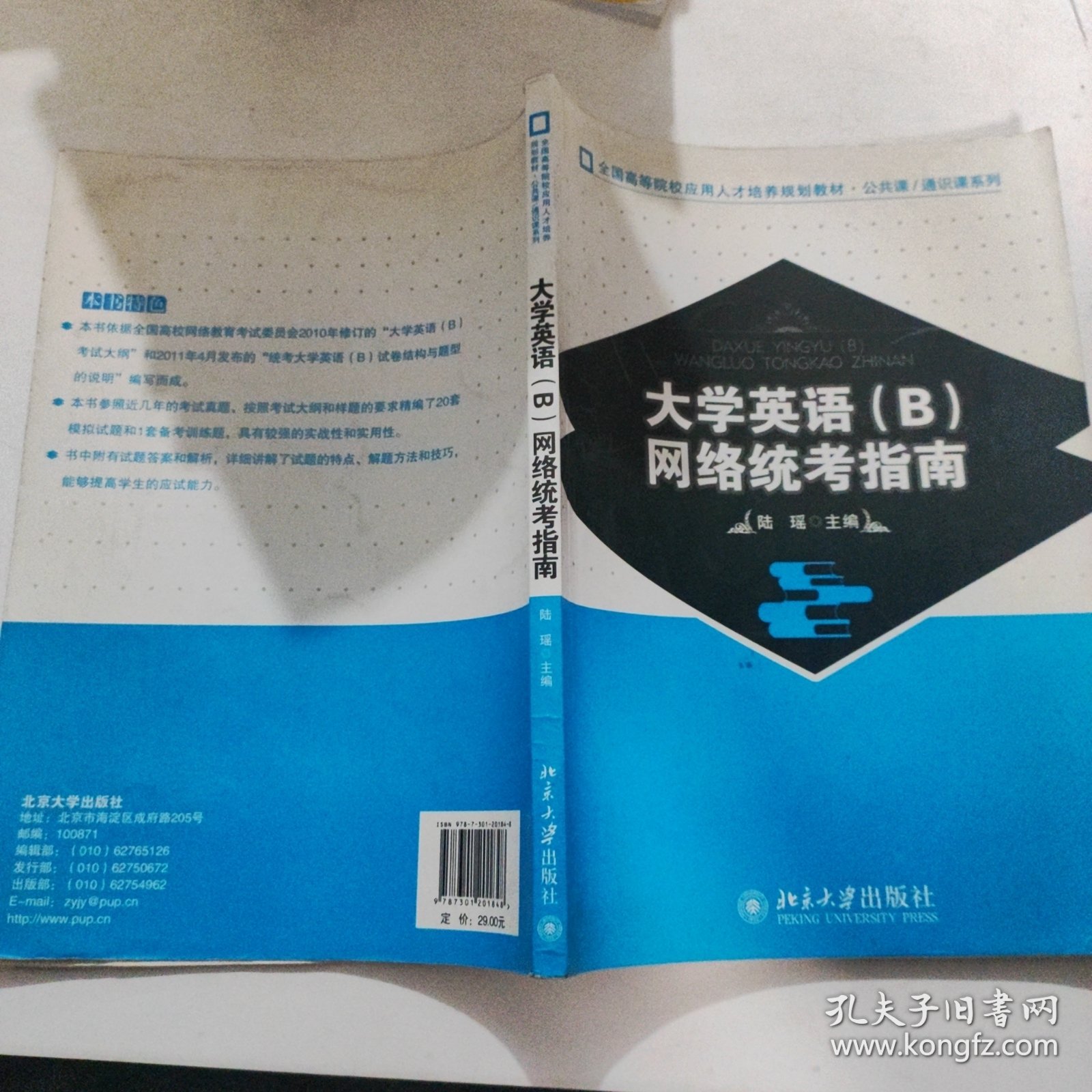 全国高等院校应用人才培养规划教材·公共课·通识课系列：大学英语（B）网络统考指南