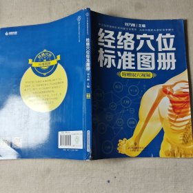经络穴位标准图册