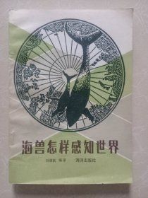 海兽怎样感知世界