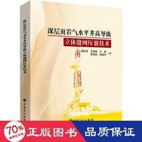 深层页岩气水井高导流立体缝网压裂技术 能源科学 蒋廷学 等