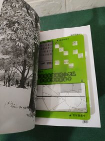 超级成长版冒险小虎队+超级版冒险小虎队【11本合售】10张解密卡