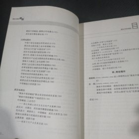 聚焦中部话崛起