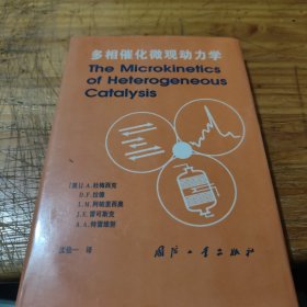 多相催化微观动力学