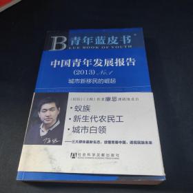 中国青年发展报告. （2013）No.1：城市新移民的崛起