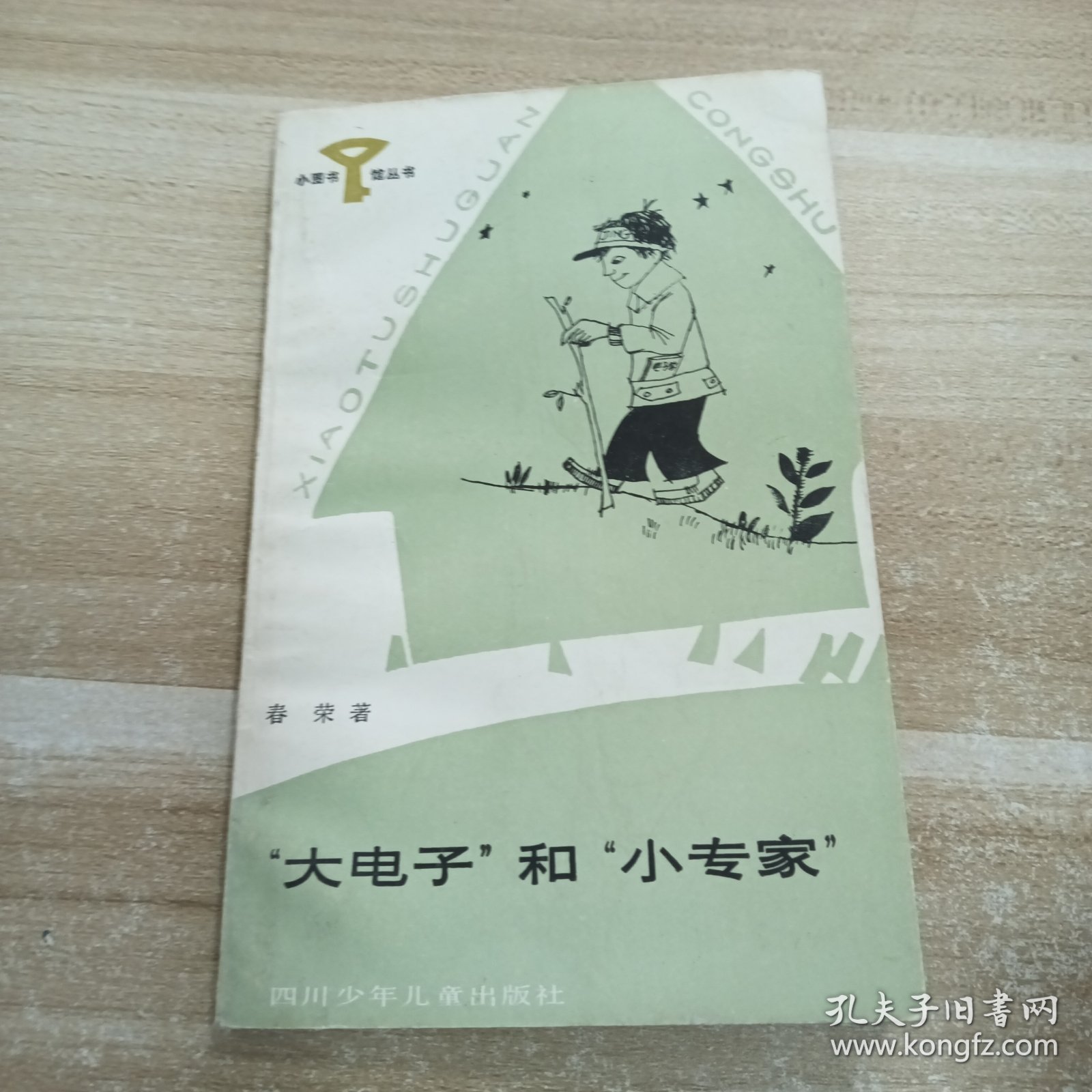 大电子和小专家