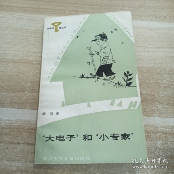 大电子和小专家
