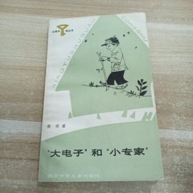 大电子和小专家