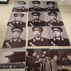 毛主席和授勋元帅合影及元帅标准像12张，塑材质，60×50cm。