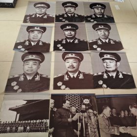 毛主席和授勋元帅合影及元帅标准像12张，尺寸：60×50cm。
