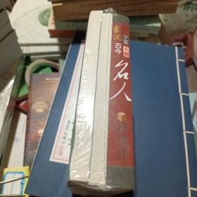 画说宁夏主流文化