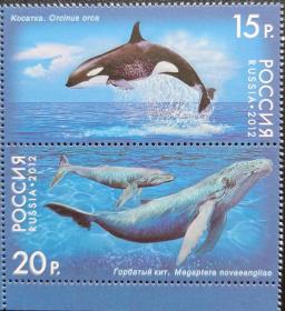 俄罗斯2012年鲸鱼邮票 2全动物系列海洋生物异质釉面邮票