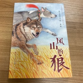 风山的狼（百班千人共读图书推荐）