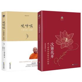 次第花开+观呼吸 中国哲学 希阿荣博堪布  新华正版