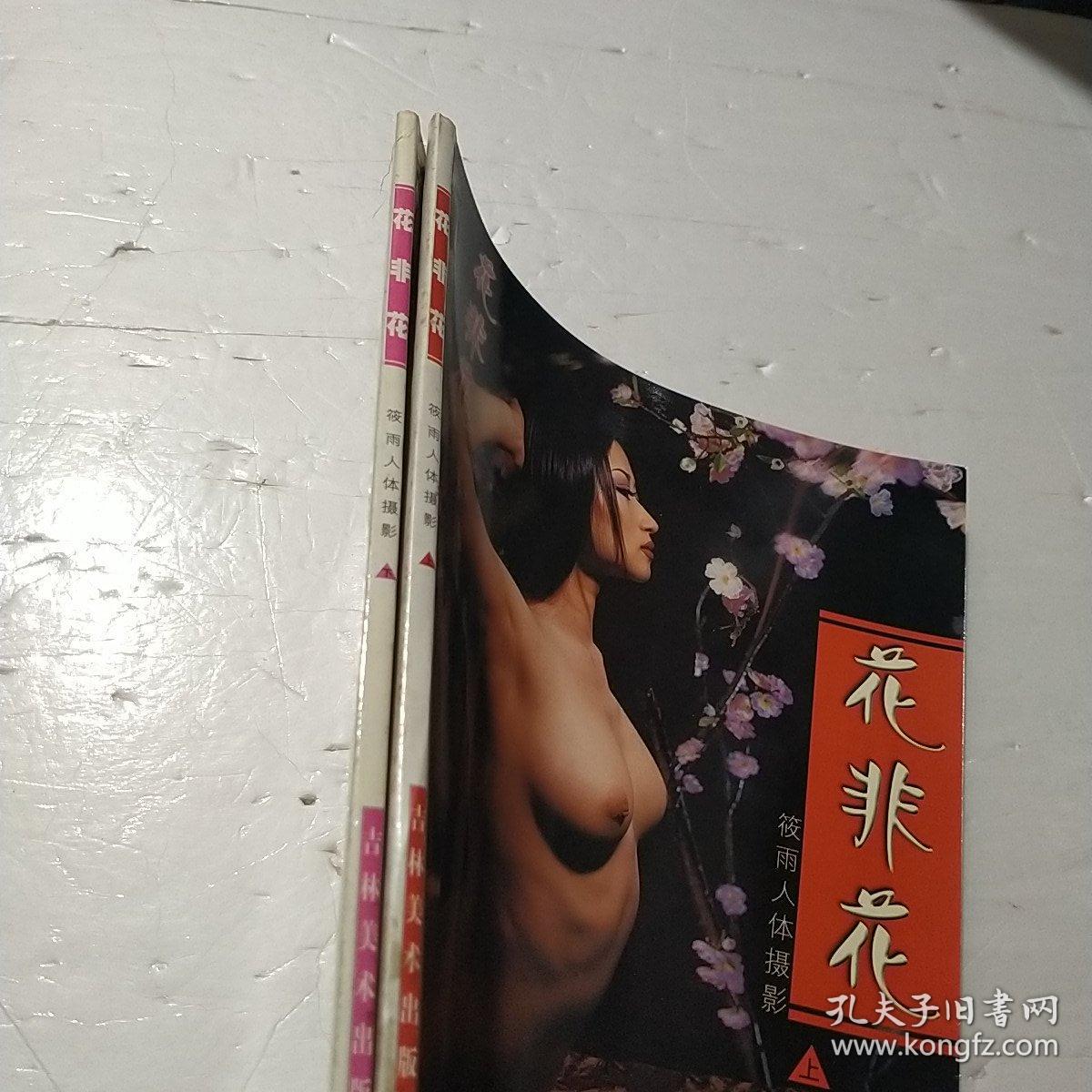 花非花 上下