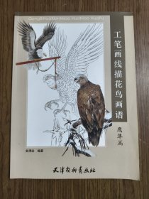 工笔画线描花鸟谱：鹰隼篇