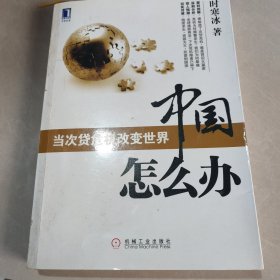 当次贷危机改变世界 中国怎么办