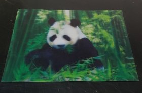 动物 : 熊猫 (塑画一张)