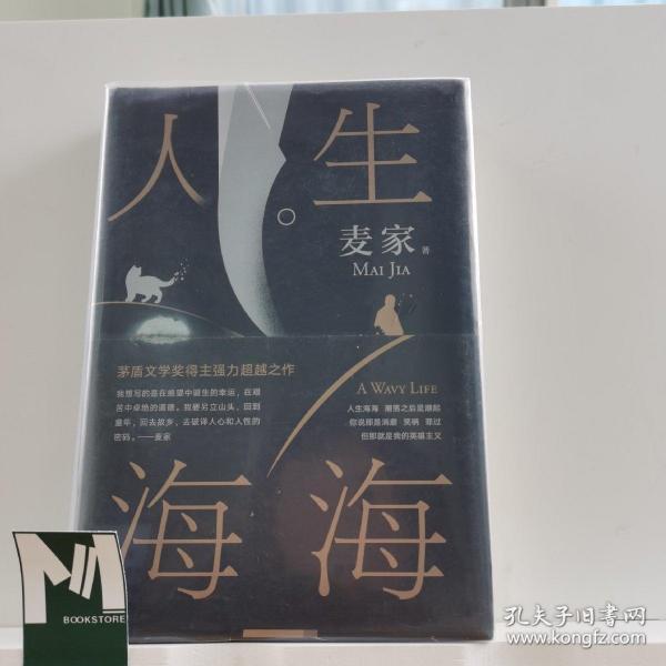 麦家：人生海海（茅盾文学奖得主麦家2019年强力之作）