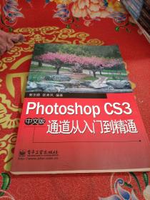 Photoshop CS3中文版通道从入门到精通