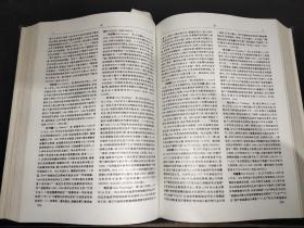 中国当代地球科学家大辞典
