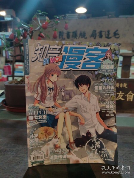 知音漫客 2013.45 vol.284