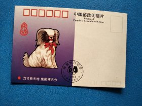 猪生肖明信片 邮票预订纪念印1993年纪特邮票发行计划