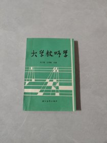 大学教师学