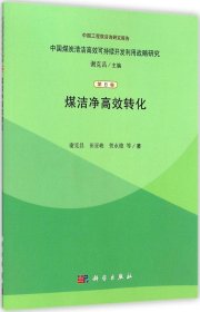 全新正版煤洁净高效转化9787030403391