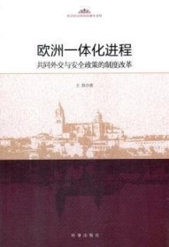 欧洲一体化进程：共同外交与安全政策的制度改革
